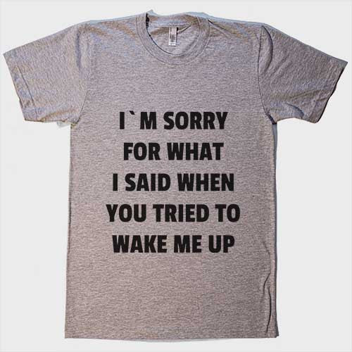 I`m sorry for what i said when you tried to wake me up